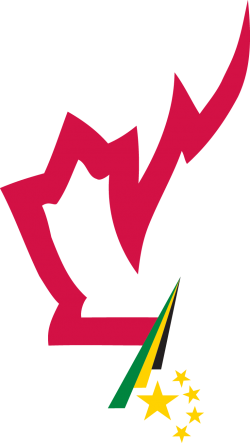 G. Raymond Chang Foundation